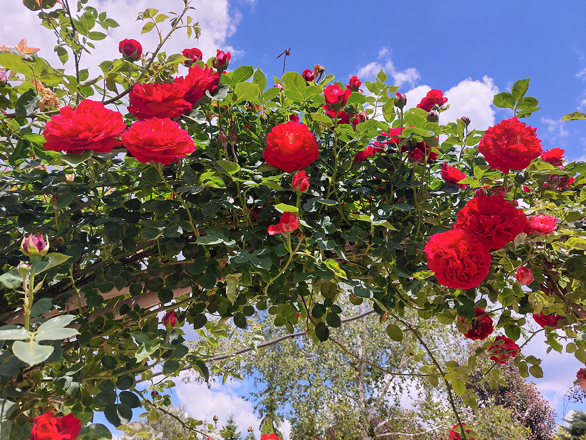 Tanítások és hangfürdők - Rád